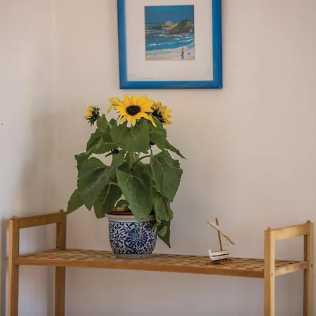2 Bedroom Pet Friendly In Lägenhet *